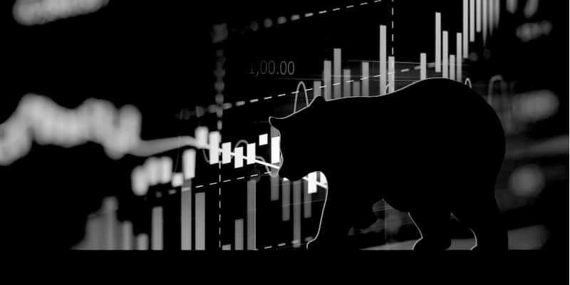 crypto bear market